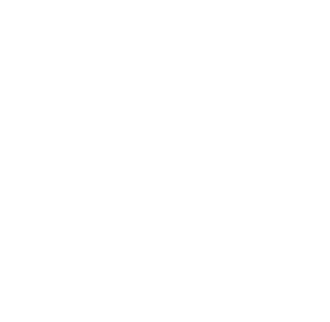 modifiedLogoWhite